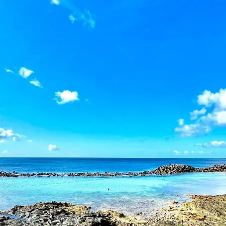 Mar Y 科斯塔特吉塞